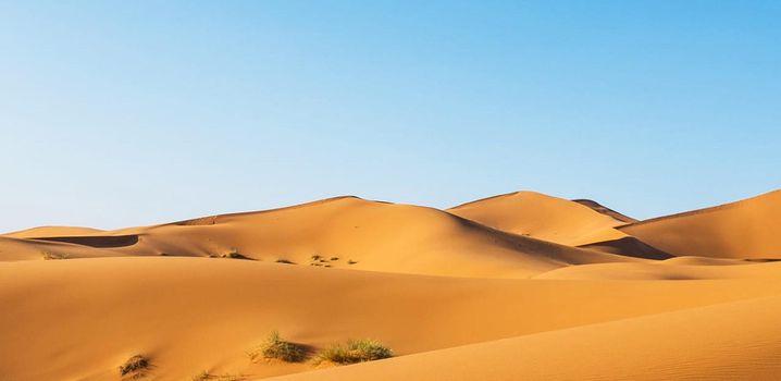 Scenic ridges of sand dunes in Sahara Desert,Morocco