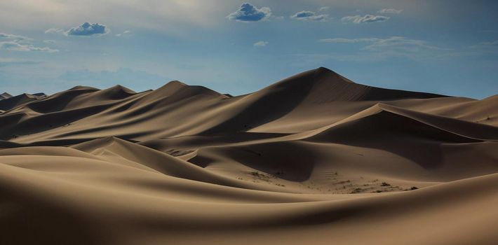 Sand dune on the edge of the Sahara Desert,Morocco