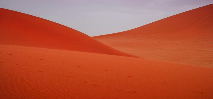 Sand dune on the edge of the Sahara Desert,Morocco