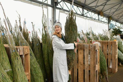 A woman buying a Christmas tree in the market.