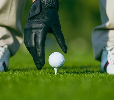 Hand in a Black Leather Glove Placing a Golf Ball on a Wooden Tee in the Middle of a Golf Course. Golf Ball on Tee Ready to be Shot. Close-up. High quality photo