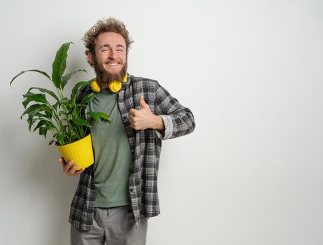 Young handsome bearded man holding yellow flower pot with plant in it dressed in plaid shirt and yellow headphones on his neck isolated on white background. Moving concept.