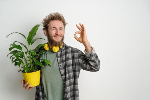 Young bearded man, dressed in plaid shirt, holding yellow flower pot with plant and showing OK gesture isolated on white background. Moving concept.