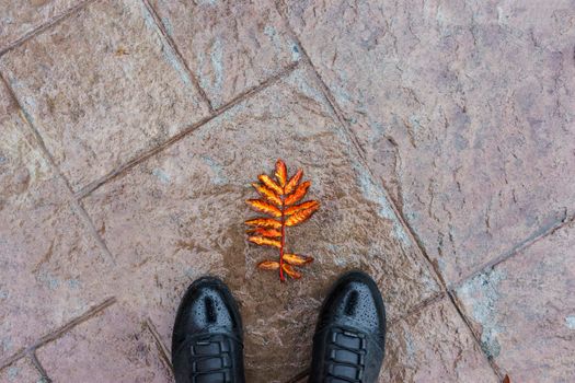 Natural background with black shoes and autumn leaf on wet paving stones