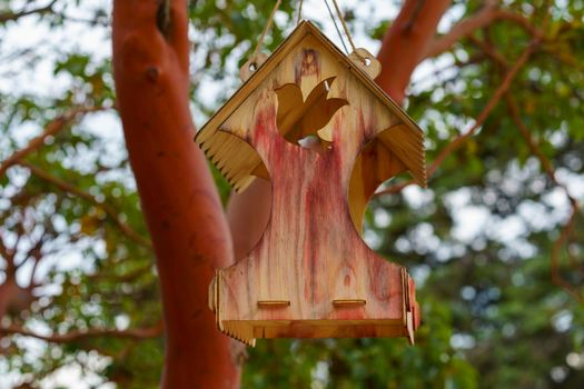 Bird feeders on trees against the sky in the park.