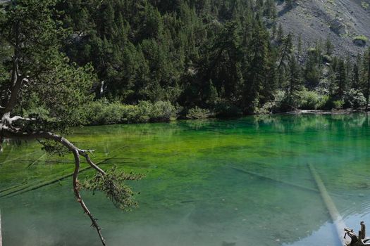 view of the Green Lake in the Valle Stretta Turin with emerald green water. High quality photo