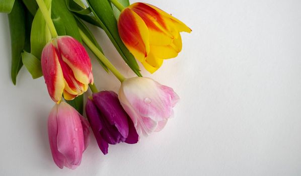 Fresh colorful tulip flowers bouquet on shelf in front of wooden wall. View with copy space. space for text.