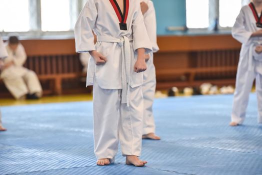 Taekwondo kids. A boy athlete stands in a taekwondo uniform with a white belt during a taekwondo tournament.