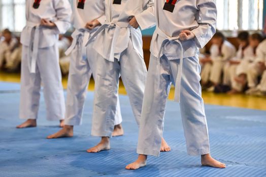 Taekwondo kids. Boys athletes stand in a taekwondo uniform with a white belts during a taekwondo tournament.