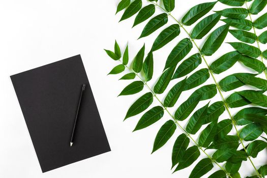 Natural composition with sketchbook and pencils on white table, decorated with green branches. Flat lay, top view, copy space. Still life