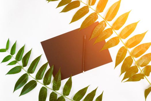 Natural composition with sketchbook and pencils on white table, decorated with green branches. Flat lay, top view, copy space. Still life. Sun flare