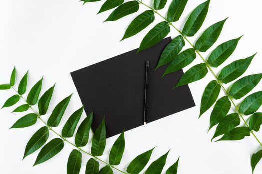 Natural composition with sketchbook and pencils on white table, decorated with green branches. Flat lay, top view, copy space. Still life