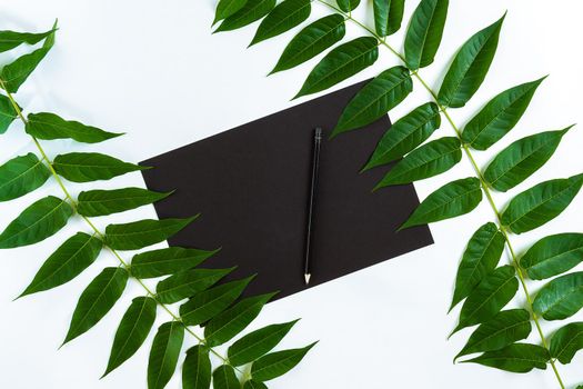 Natural composition with sketchbook and pencils on white table, decorated with green branches. Flat lay, top view, copy space. Still life