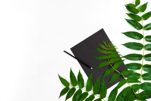 Natural composition with sketchbook and pencils on white table, decorated with green branches. Flat lay, top view, copy space. Still life