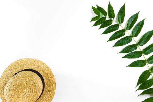 Green leaf branches and straw haton white background. flat lay, top view. Copy space. Still life