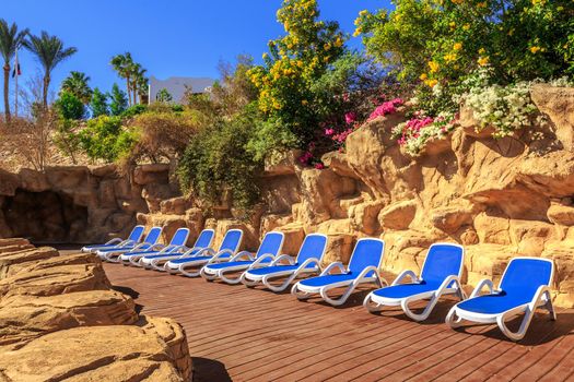 Several of sun loungers by a beautiful swimming pool. Exotic vacation by the hotel pool in bright sunshine, Egypt.