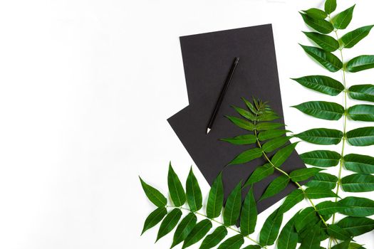 Natural composition with sketchbook and pencils on white table, decorated with green branches. Flat lay, top view, copy space. Still life