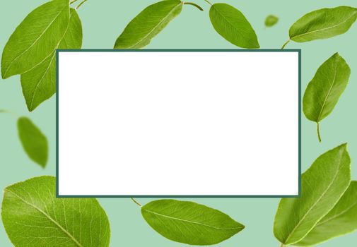 Green leaves of plum tree or tea are falling or flying against blue background. Frame with white copy space for you text or images. Pattern, template, mockup. Collage, close up