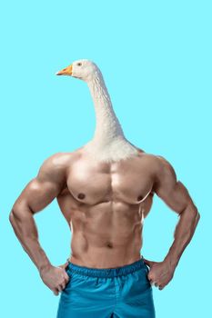 Athletic man in sport clothes with goose head. Sports concept on the theme of comics and сontemporary art collage.