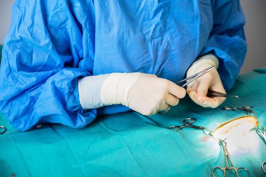 Female Veterinary surgeon operating in the operating room of a veterinary clinic. Vet doing surgery in the clinic. Medicine, pet, animals, health care and people concept. High quality photography