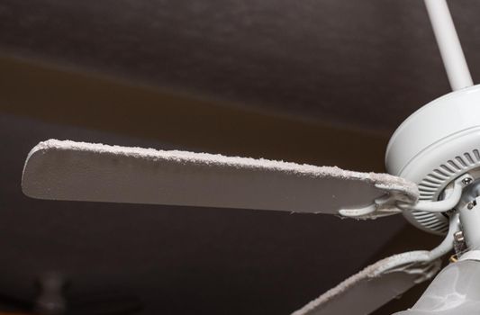 Fan blade on ceiling fan and light fixture in need of cleaning to remove dust and fluff along the edge