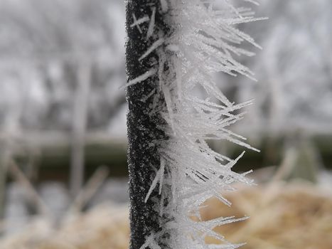 hoarfrost on a black thin iron bar as a close up
