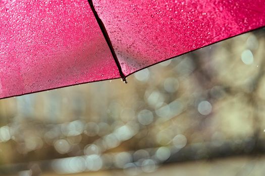 Fragment of a red umbrella with raindrops on a sunny summer day. Close up