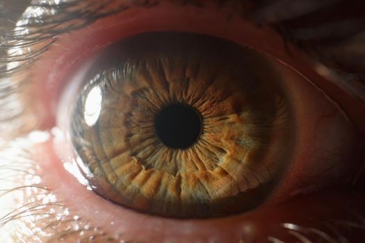 Close up of beautiful brown green human eye. Detective agency concept