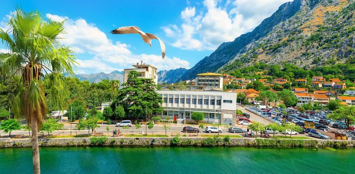 Architecture in Kotor city on river Scurda, Montenegro