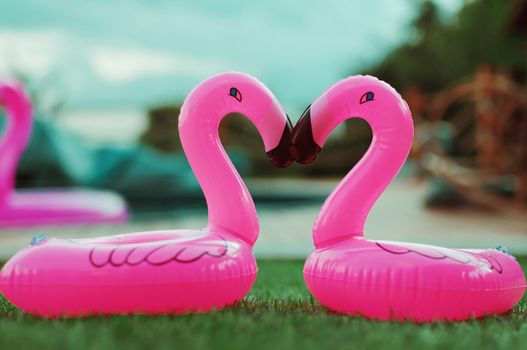 Two little flamingos kiss on the green grass in front of the pool. Flamingos in the form of a heart. Coasters for the pool. The concept of summer pastime. Beach summer composition