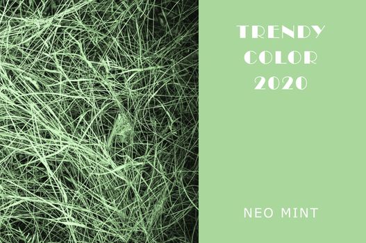 Neo Mint grassy lawn. Juicy tones in a new mint color. Abstract light green background with vibrant colors. Copy space layout for design.