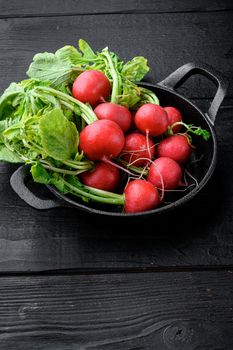 A bunch of juicy red radishes Healthy food set, on black wooden table background, with copy space for text