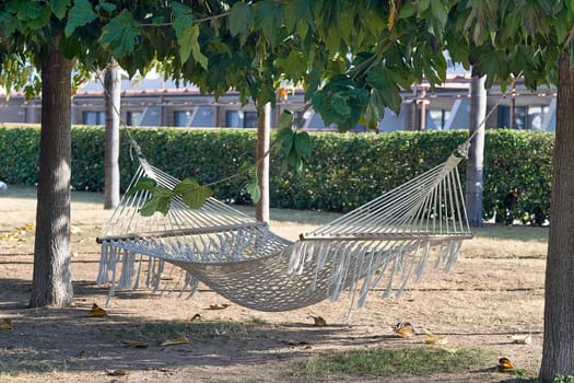 Rope hammock hanging between the trees to relax on a hot summer day. Empty hammock close up