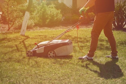 Strong male in casual outfit and colorful gloves is cutting green grass with electric lawn mower in his garden. Gardening care equipment and services. Sunny day