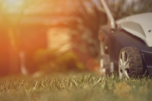 Black and gray professional lawn mower mowing green grass on backyard of country house. Gardening care equipment. Sunny day, close up