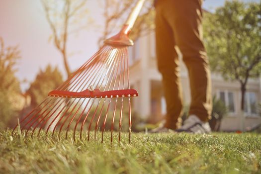Unknown young man in casual clothes is using red garden rake on a lawn of his backyard. Useful tool of modern gardener. Summer sunny day. Close up