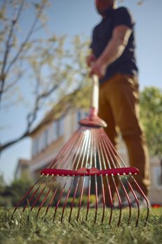 Unrecognizable young male in casual outfit is raking green grass using handheld red rake on a lawn of his backyard. Useful tool of modern gardener. Summer sunny day. Close up