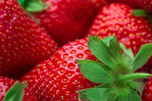 Red Strawberry, red close up strawberries with selective focus on a strawberry with many strawberries in the background for food or fruit close up background or strawberry texture.