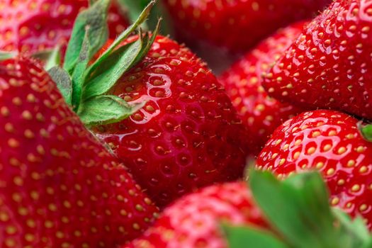 Red Strawberry, red close up strawberries with selective focus on a strawberry with many strawberries in the background for food or fruit close up background or strawberry texture.