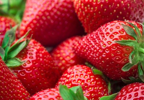 Red Strawberry, red close up strawberries with selective focus on a strawberry with many strawberries in the background for food or fruit close up background or strawberry texture.