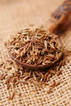 cumin seeds on spoon on table .