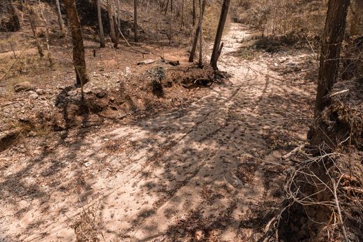 Dry creek bed in summer , northern Thailand.