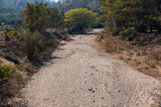 Dry river bed in northern Thailand.