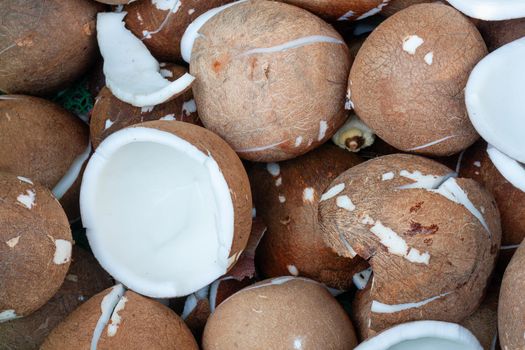 Inner of fresh Coconut for make coconut milk