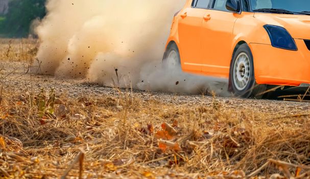 Rally racing car on dirt road.