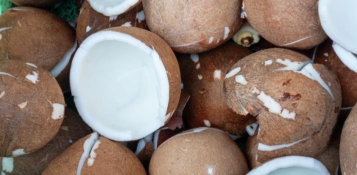 Inner of fresh Coconut for make coconut milk