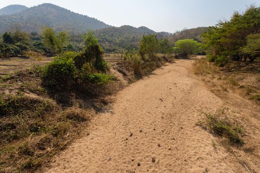 Dry river bed in northern Thailand.