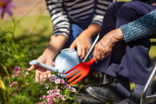 Mother's Day  , Senior woman and daughter relax with gardening in backyard