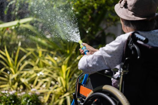 Senior woman hand holding hose sprayer and watering plants in backyard