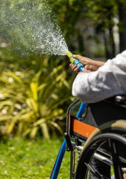 Senior woman hand holding hose sprayer and watering plants in backyard